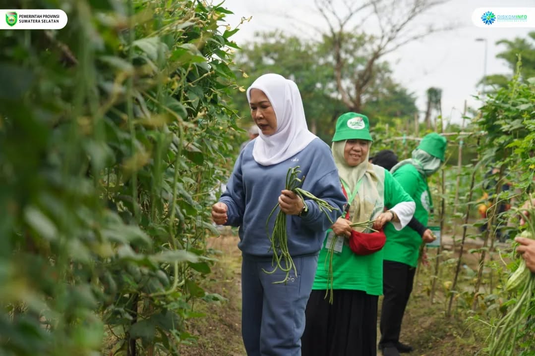 Ketua TP PKK Sumsel Feby Deru Tinjau Kebun PKK di Jakabaring