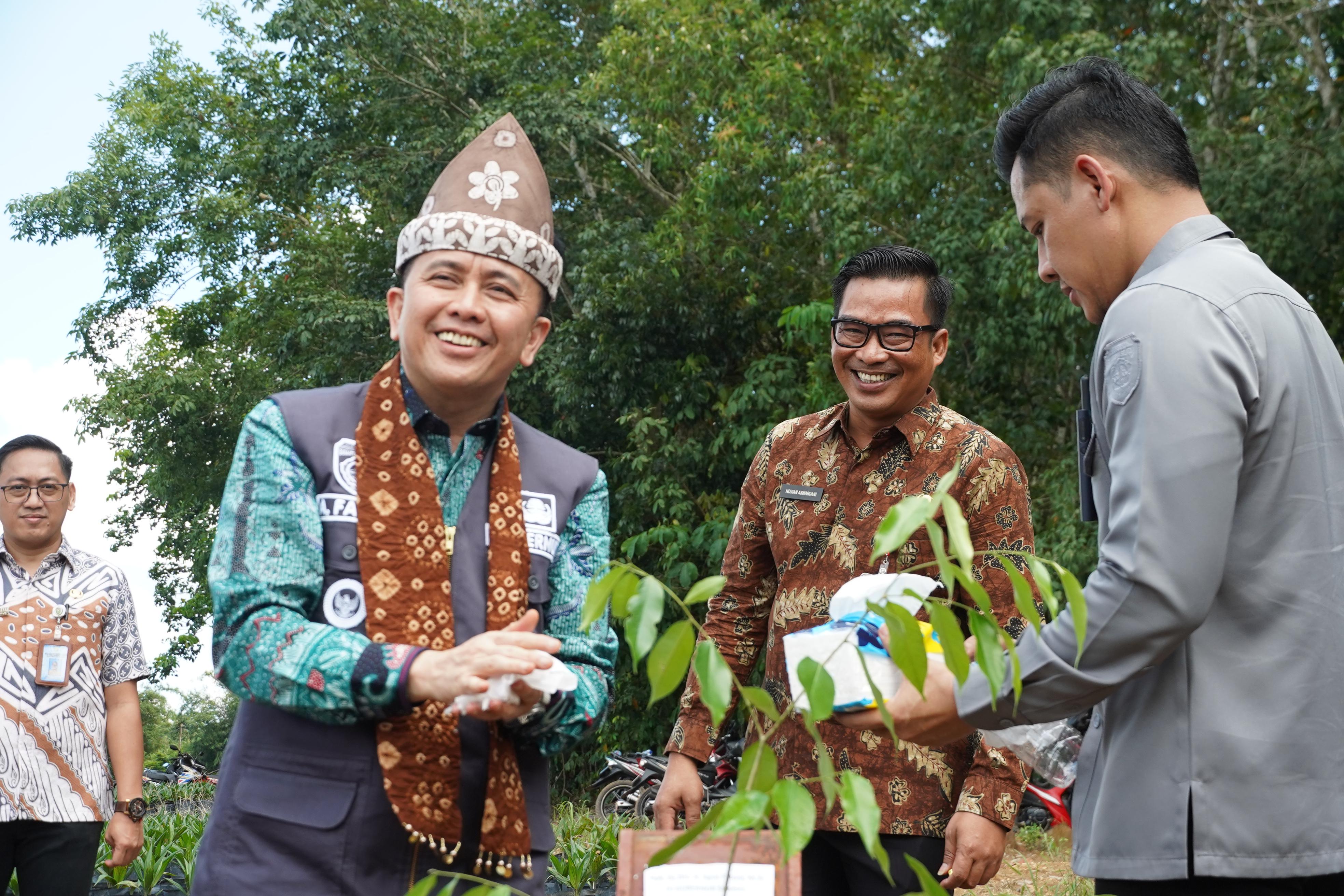 Jadikan Gaharu Sebagai Komoditi Unggulan Baru Sumsel, Gubernur Fatoni Launching  Pelestarian Pohon Gaharu