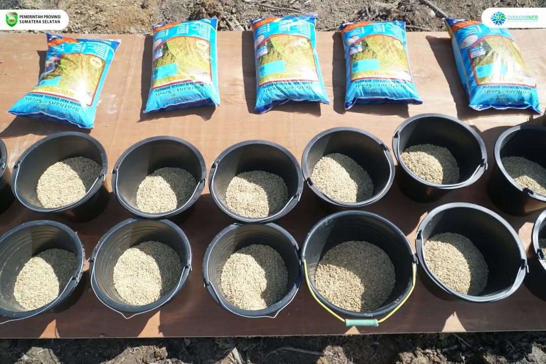 Dari 8 ke 5 Besar Nasional, HD Bidik Sumsel Masuk 3 Besar Lumbung Pangan Lewat Tanam Serentak Cetak Sawah Rakyat