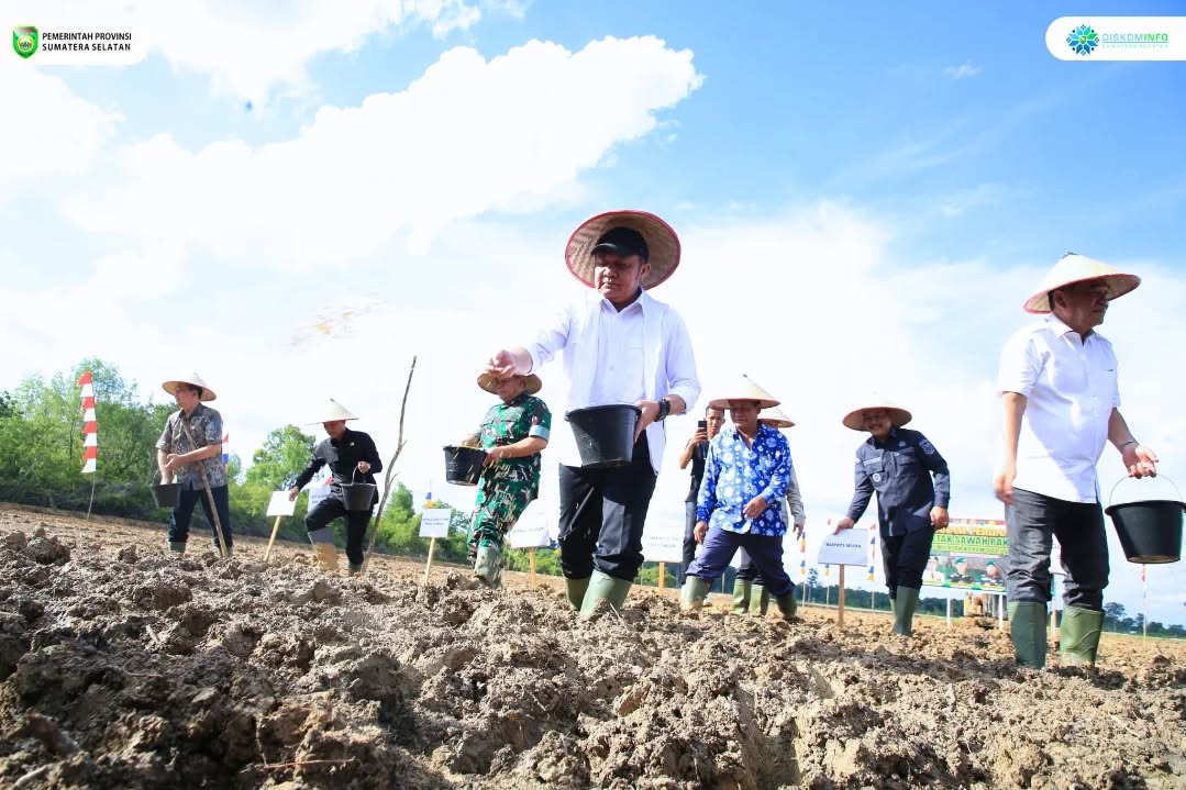Dari 8 ke 5 Besar Nasional, HD Bidik Sumsel Masuk 3 Besar Lumbung Pangan Lewat Tanam Serentak Cetak Sawah Rakyat