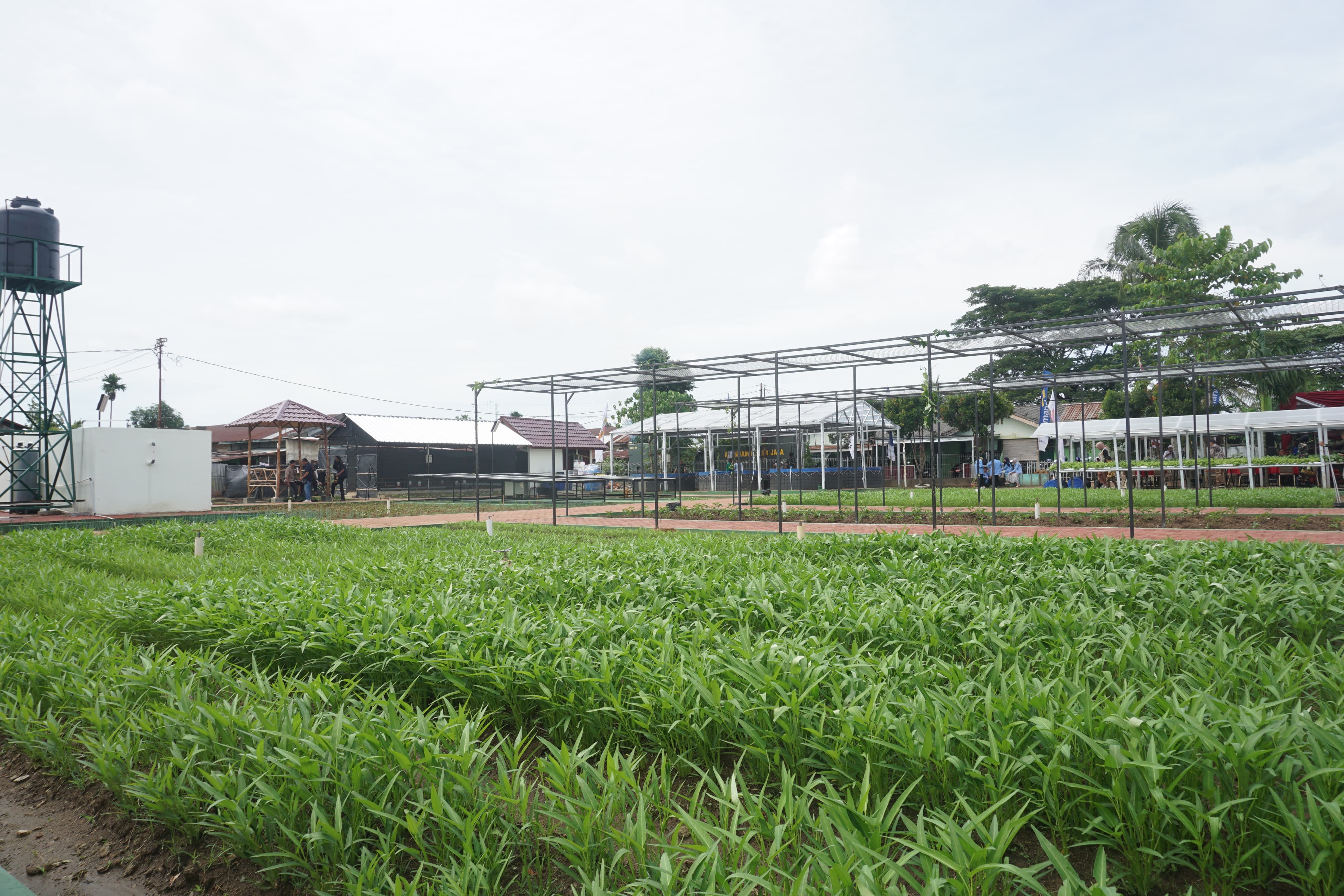 Galeri Berita