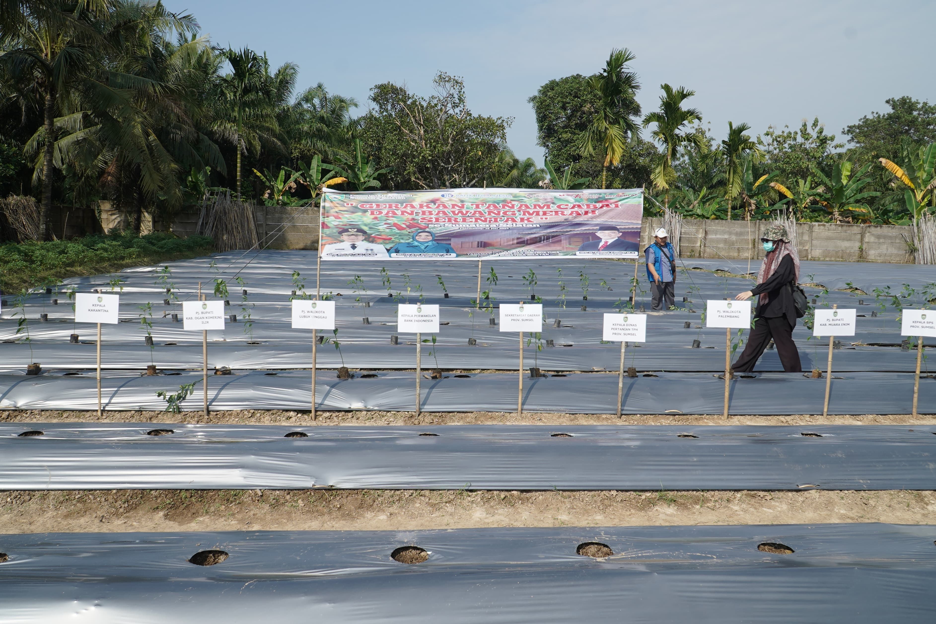 Galeri Berita