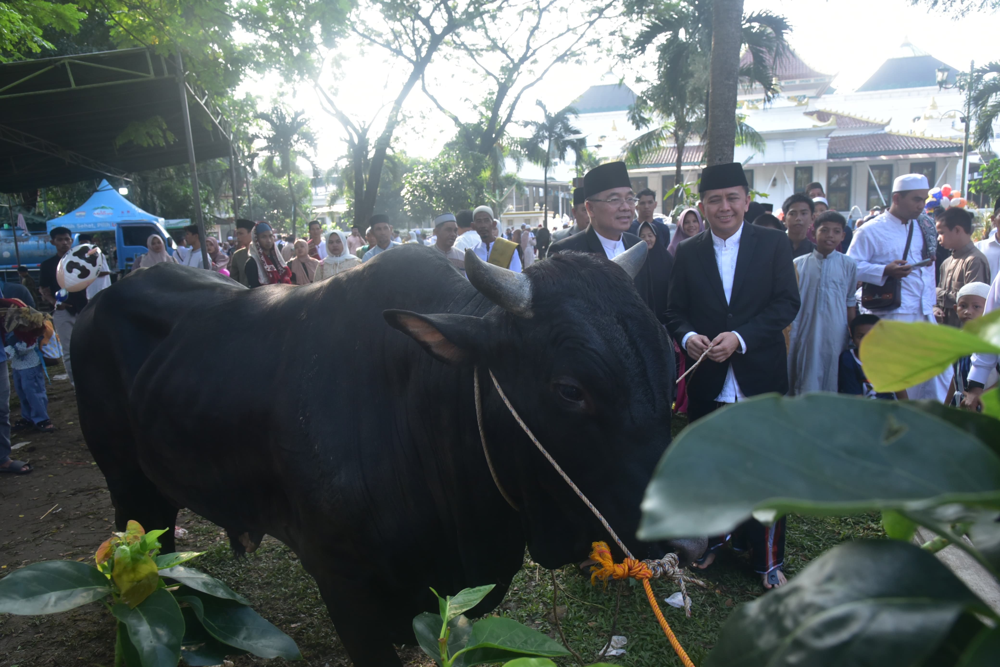 Galeri Berita