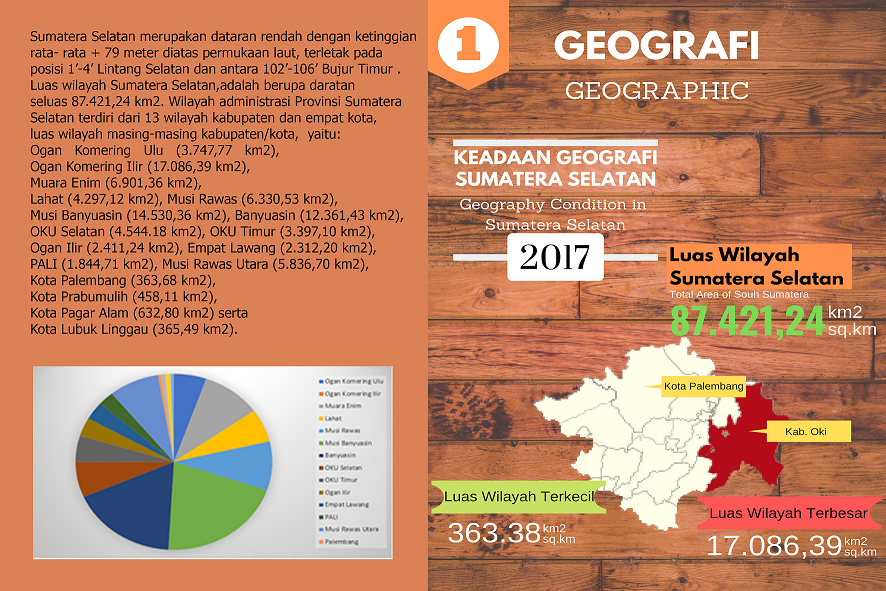 Keadaan Geografi Sumatera Selatan