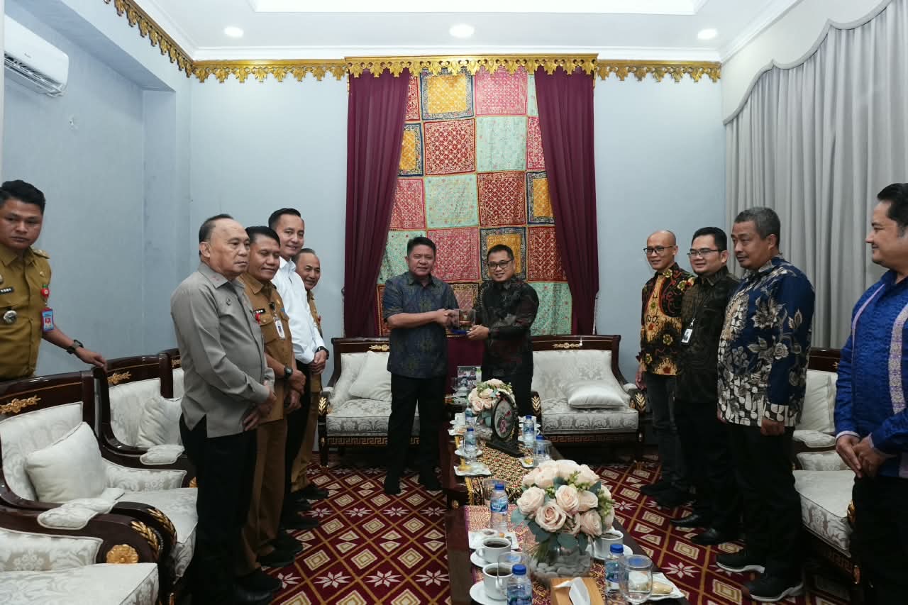 Jaga Keandalan Listrik di Tengah Ancaman Karhutla, Herman Deru Perkuat Sinergi dengan PLN